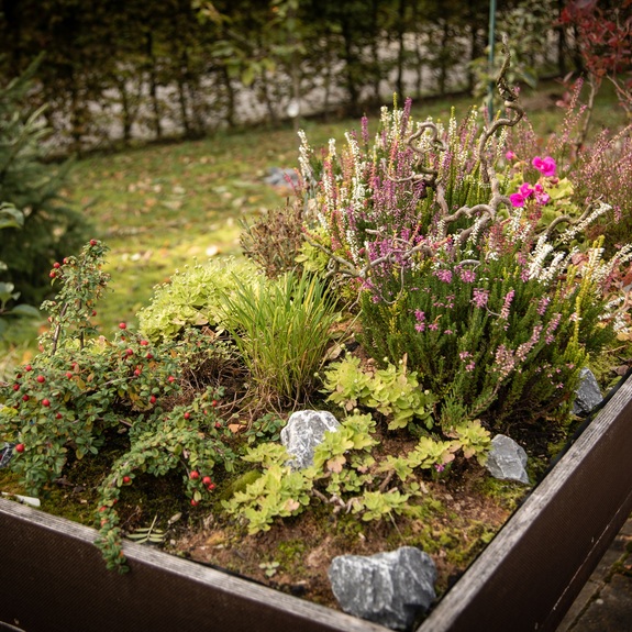 Diakonie Gütersloh e.V. - Pflege-Wohngemeinschaft in Friedrichsdorf "Haus im Pfarrgarten"