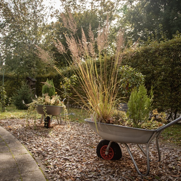 Diakonie Gütersloh e.V. - Pflege-Wohngemeinschaft in Friedrichsdorf "Haus im Pfarrgarten"